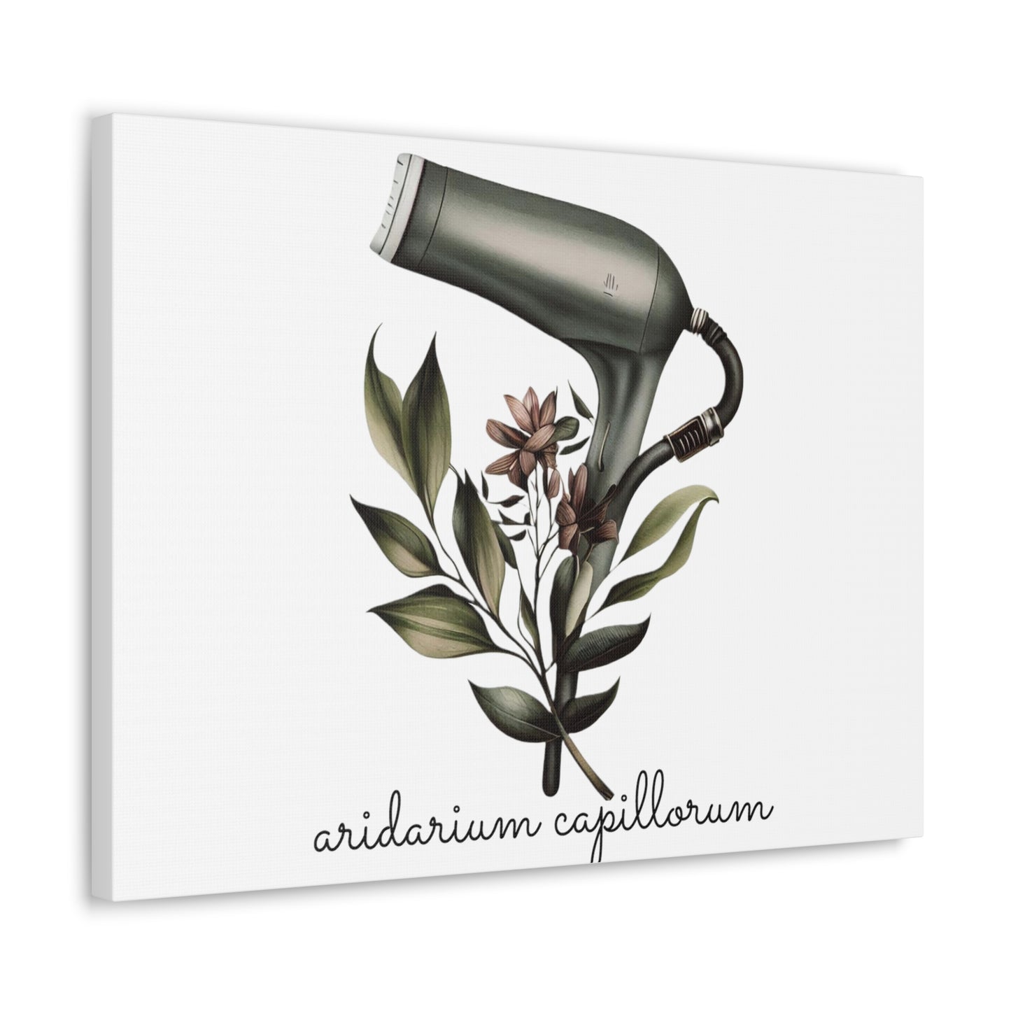 Hairdryer Botanical