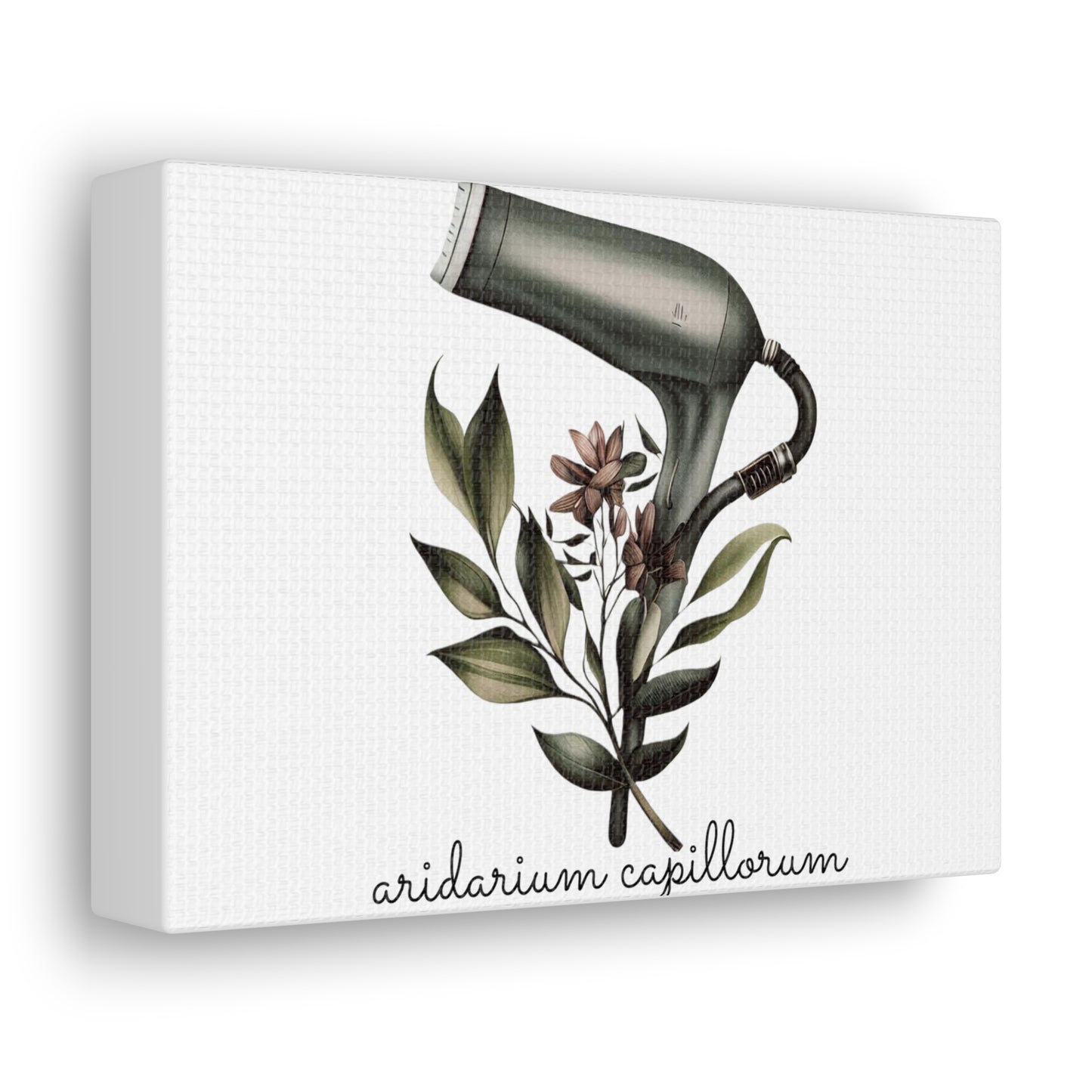 Hairdryer Botanical