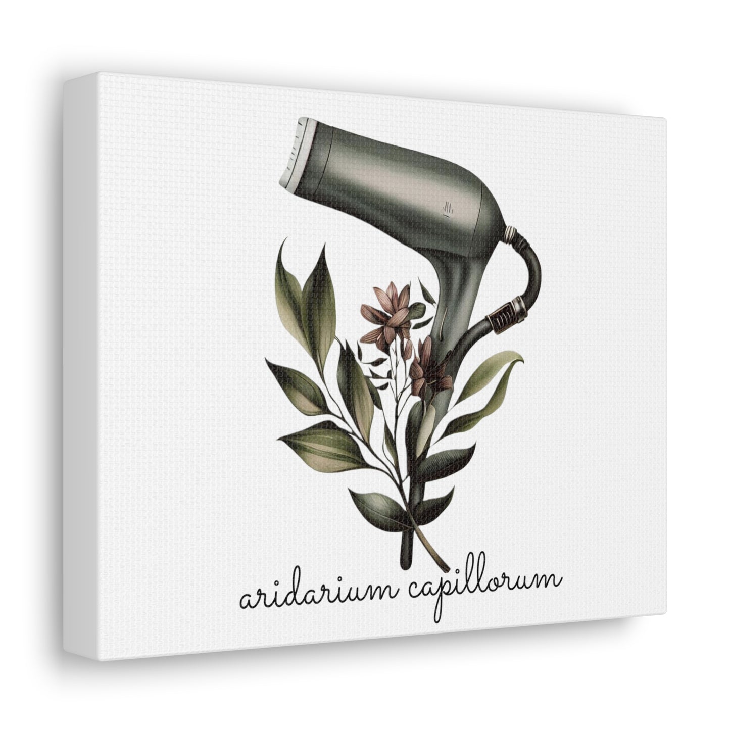Hairdryer Botanical